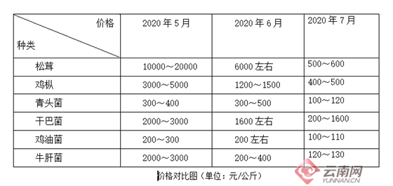 云南野生菌产品数据