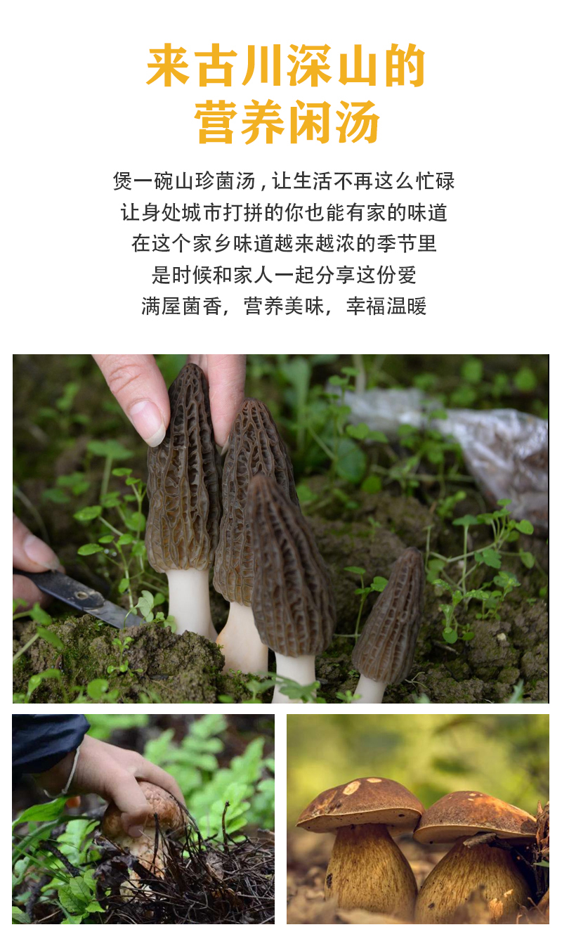 六珍菌汤包40克_02