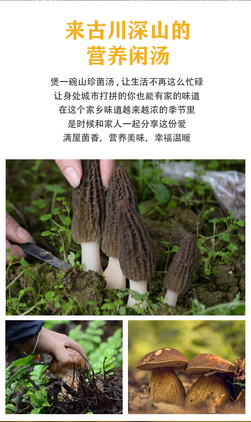 七彩菌汤包68克_02